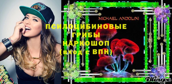 гидропоника Абаза