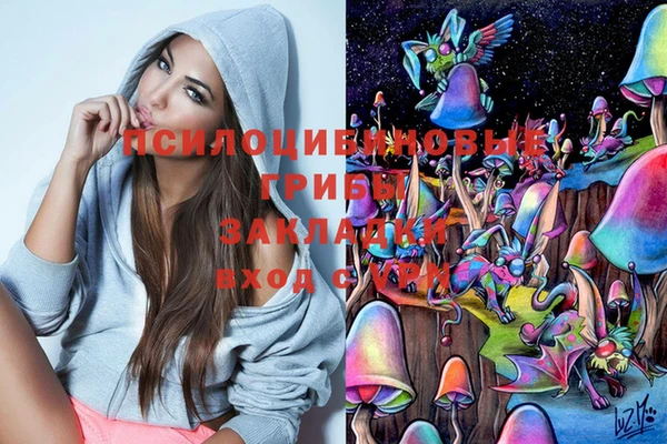 СК Абинск