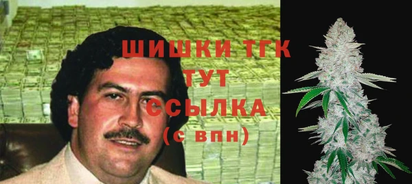гидропоника Абаза