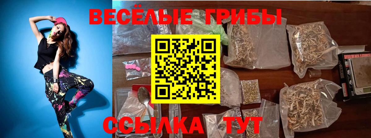 Псилоцибиновые грибы Psilocybe  Вход с VPN  Симферополь 